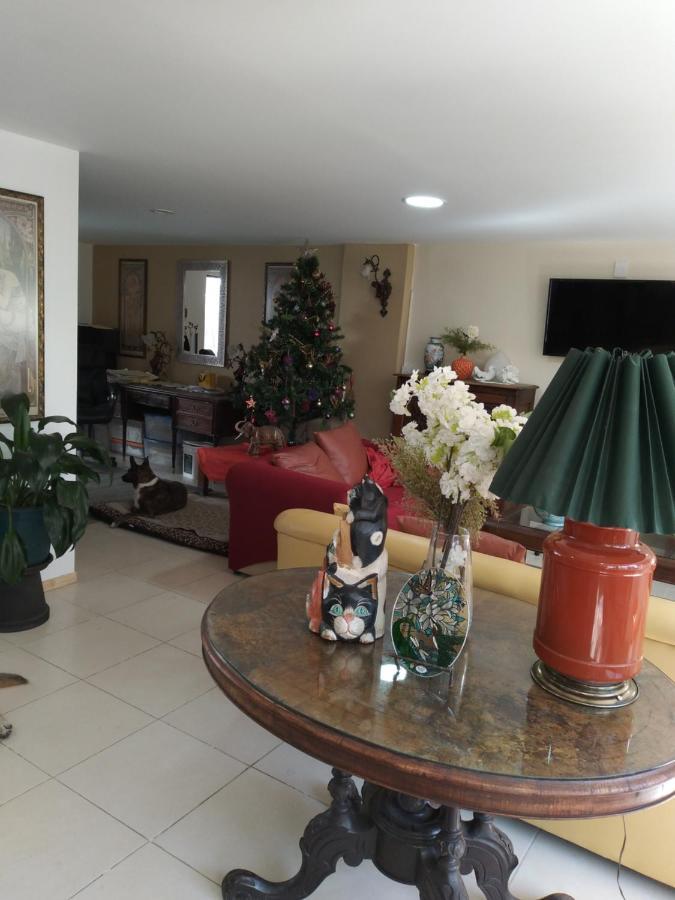 Charming Sunny Bedroom Overlooking Beautiful Amsterdam Avenue In Best Condesa Area Mexico City Exteriör bild