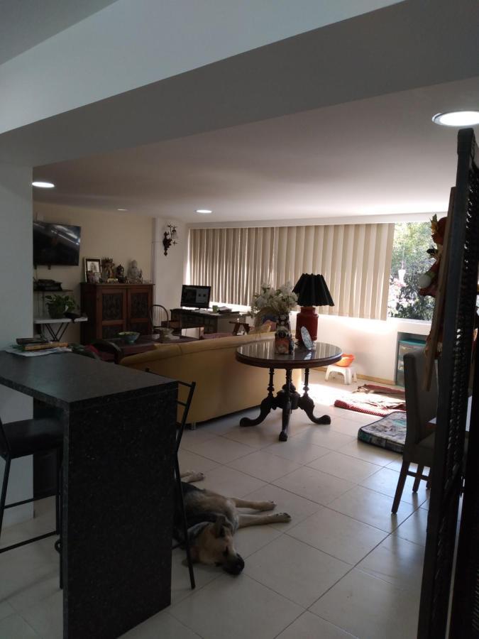 Charming Sunny Bedroom Overlooking Beautiful Amsterdam Avenue In Best Condesa Area Mexico City Exteriör bild