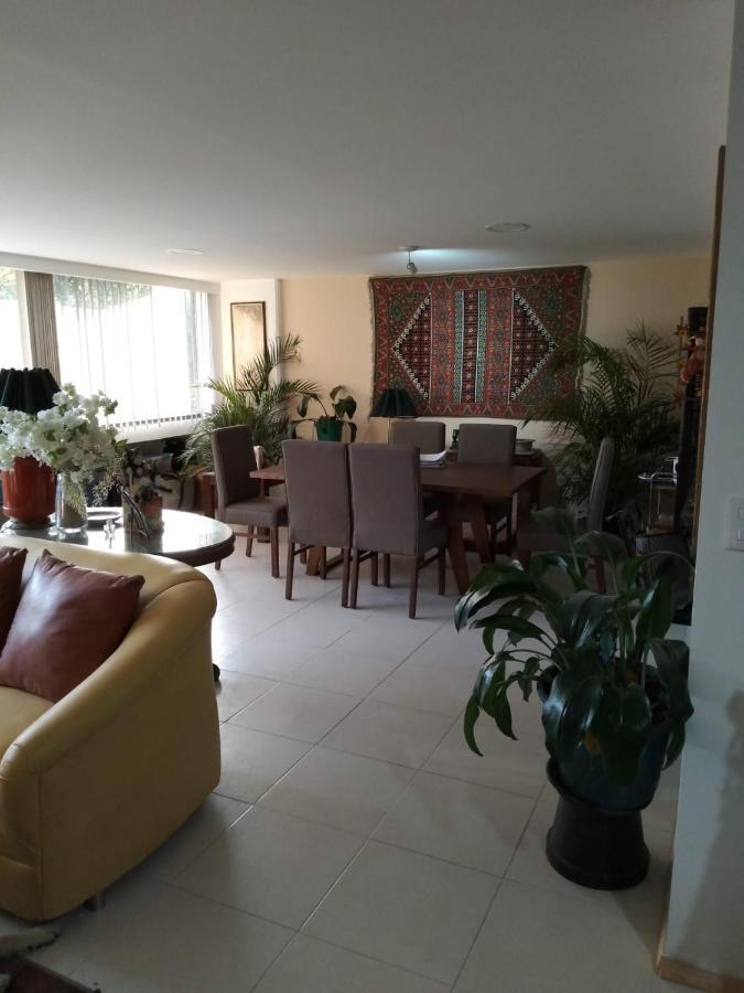 Charming Sunny Bedroom Overlooking Beautiful Amsterdam Avenue In Best Condesa Area Mexico City Exteriör bild