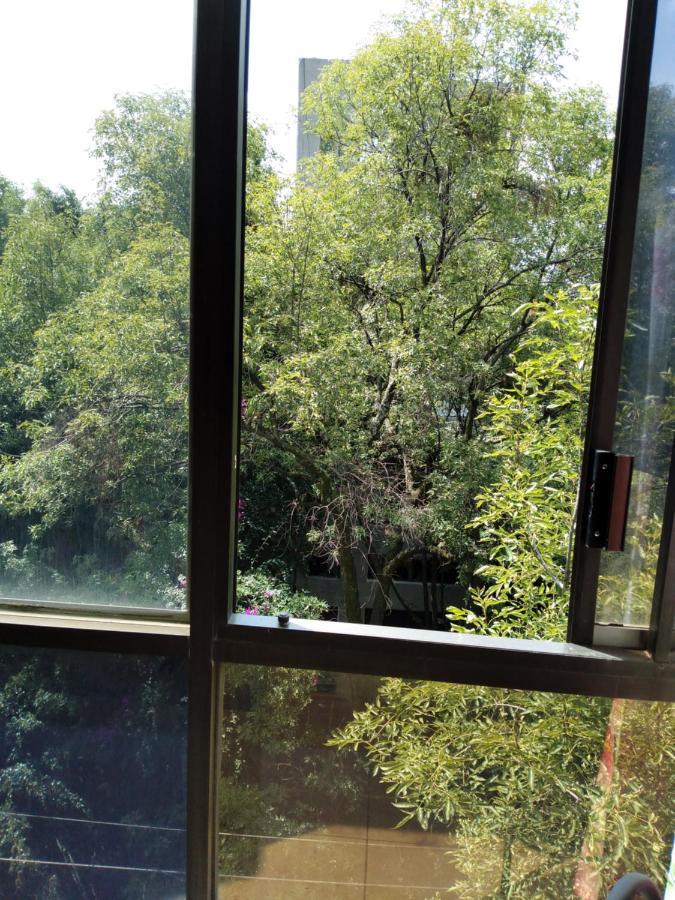 Charming Sunny Bedroom Overlooking Beautiful Amsterdam Avenue In Best Condesa Area Mexico City Exteriör bild