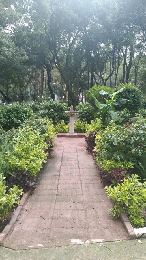 Charming Sunny Bedroom Overlooking Beautiful Amsterdam Avenue In Best Condesa Area Mexico City Exteriör bild